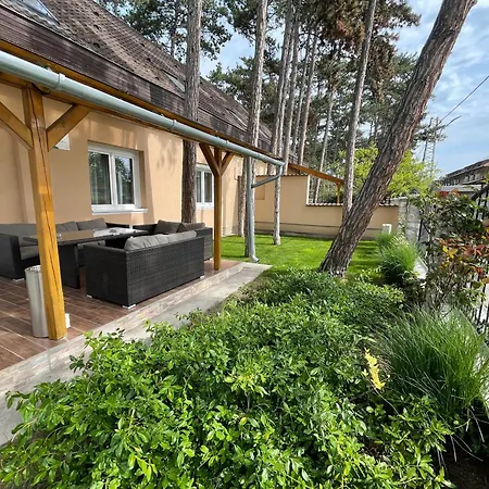 Gratisz 希欧福克