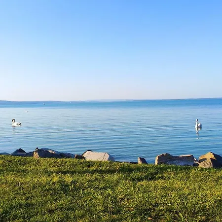 Gratisz 게스트하우스