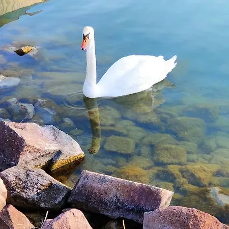 게스트하우스 Gratisz 3*