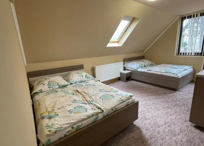 ゲストハウス Gratisz シオーフォク