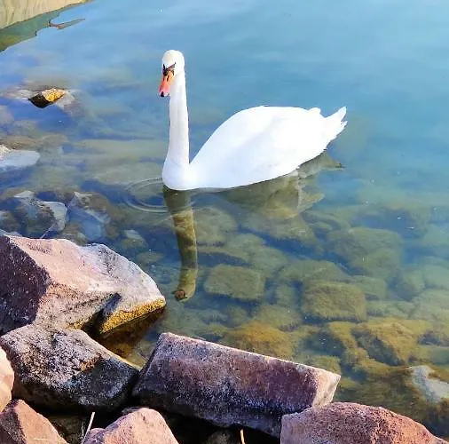 ゲストハウス Gratisz 3*